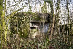 Ligne Maginot - B716 - LES HERELLES - (Blockhaus pour canon) - 