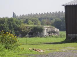 Ligne Maginot - B719 - L'EPINE - (Blockhaus pour canon) - Blockhaus situé dans un pré clôturé à proximité du Chemin de la Globinette.