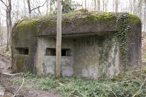 Ligne Maginot - B731 - TRIEUX D'ANICOLE - (Blockhaus pour canon) - 