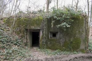 Ligne Maginot - B731 - TRIEUX D'ANICOLE - (Blockhaus pour canon) - 
