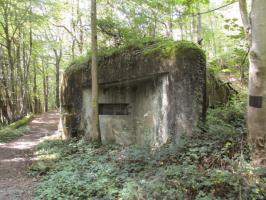 Ligne Maginot - B731 - TRIEUX D'ANICOLE - (Blockhaus pour canon) - 