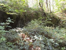 Ligne Maginot - B731 - TRIEUX D'ANICOLE - (Blockhaus pour canon) - 