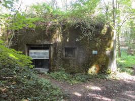 Ligne Maginot - B731 - TRIEUX D'ANICOLE - (Blockhaus pour canon) - 