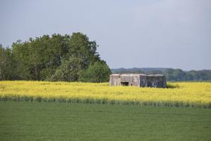 Ligne Maginot - DB122 - LA CORVEE - (Blockhaus pour canon) - 
