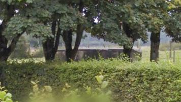 Ligne Maginot - DB120 - LUDELANGE SUD - (Blockhaus pour arme infanterie) - Google Streetview