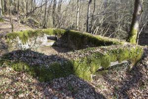 Ligne Maginot - B734 - BOIS DE CHATENIERE - (Cuve pour arme d'infanterie) - 