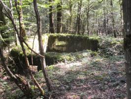 Ligne Maginot - B734 - BOIS DE CHATENIERE - (Cuve pour arme d'infanterie) - 