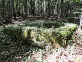 Ligne Maginot - B734 - BOIS DE CHATENIERE - (Cuve pour arme d'infanterie) - 