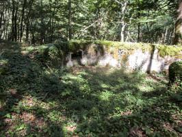 Ligne Maginot - B734 - BOIS DE CHATENIERE - (Cuve pour arme d'infanterie) - La végétation a repris ses droits.