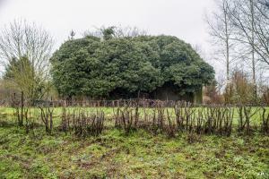 Ligne Maginot - B738 - LIESSIES - (Blockhaus pour canon) - 