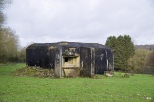Ligne Maginot - B742 - FONTAINE JACQUOT - (Blockhaus pour canon) - 