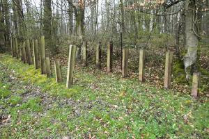 Ligne Maginot - B746 - CROIX DE TRELON EST - (Blockhaus pour canon) - Restes du réseau antichar au dessus du bloc