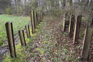 Ligne Maginot - B746 - CROIX DE TRELON EST - (Blockhaus pour canon) - Restes du réseau antichar au dessus du bloc