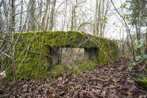 Ligne Maginot - B749 - CHEMIN DES MOINES - (Cuve pour arme d'infanterie) - 