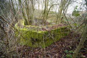 Ligne Maginot - B749 - CHEMIN DES MOINES - (Cuve pour arme d'infanterie) - 
