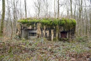 Ligne Maginot - B750 - SAINTE HILTRUDE - (Blockhaus pour canon) - 