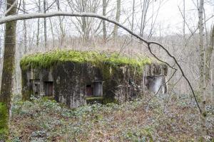 Ligne Maginot - B750 - SAINTE HILTRUDE - (Blockhaus pour canon) - 