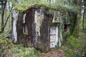 Ligne Maginot - B751 - BEAU CHENE - (Blockhaus pour canon) - 