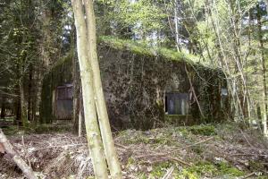Ligne Maginot - B751 - BEAU CHENE - (Blockhaus pour canon) - 