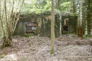 Ligne Maginot - B751 - BEAU CHENE - (Blockhaus pour canon) - 