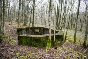 Ligne Maginot - B752 - GRAND-ÉTANG SUD - (Cuve pour arme d'infanterie) - 