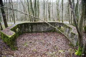 Ligne Maginot - B752 - GRAND-ÉTANG SUD - (Cuve pour arme d'infanterie) - 