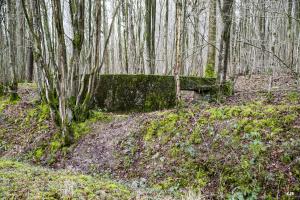 Ligne Maginot - B752 - GRAND-ÉTANG SUD - (Cuve pour arme d'infanterie) - 