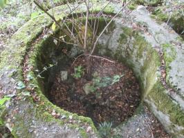 Ligne Maginot - T570 - ROUTE D'EPPE-SAUVAGE - (Cuve pour arme d'infanterie) - 
