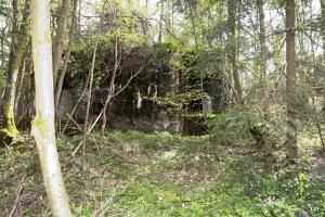 Ligne Maginot - B754 - FOND SAINT JEAN - (Blockhaus pour canon) - 