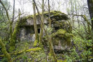 Ligne Maginot - B755 - ROUTE DE WILLIES - (Blockhaus pour canon) - 