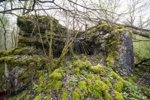 Ligne Maginot - B755 - ROUTE DE WILLIES - (Blockhaus pour canon) - 