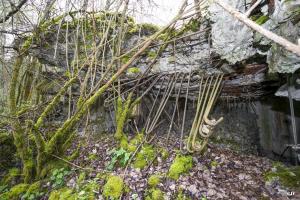 Ligne Maginot - B755 - ROUTE DE WILLIES - (Blockhaus pour canon) - 