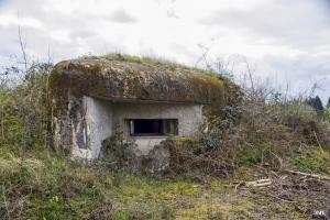 Ligne Maginot - B758 - CARREFOUR FABERT - (Blockhaus pour canon) - 