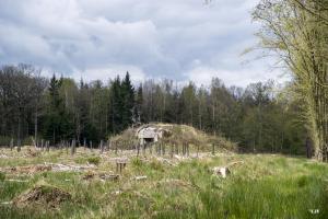 Ligne Maginot - B758 - CARREFOUR FABERT - (Blockhaus pour canon) - 