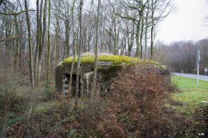Ligne Maginot - B764 - LE FOURNEAU - (Blockhaus pour canon) - 
