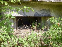 Ligne Maginot - B764 - LE FOURNEAU - (Blockhaus pour canon) - 
