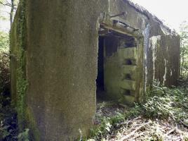 Ligne Maginot - B764 - LE FOURNEAU - (Blockhaus pour canon) - 