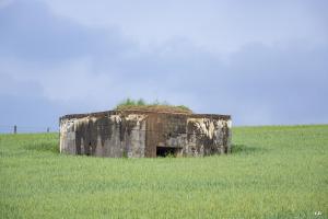 Ligne Maginot - RODENBERG 4 - (Blockhaus pour arme infanterie) - 