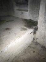 Ligne Maginot - PORT DE FORT-LOUIS - (Blockhaus pour arme infanterie) - Plateforme bétonnée