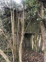 Ligne Maginot - MUEHLBACH 1 - (Blockhaus pour arme infanterie) - 