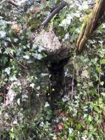 Ligne Maginot - SURYSCHER - (Blockhaus pour arme infanterie) - Les ruines