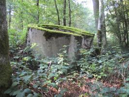 Ligne Maginot - T566 - SAINTE HILTRUDE - (Cuve pour arme d'infanterie) - 