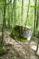 Ligne Maginot - T566 - SAINTE HILTRUDE - (Cuve pour arme d'infanterie) - 