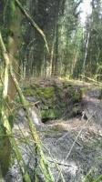 Ligne Maginot - LANGSTWALD (CM1 - I/174° RMIF - SOUS-QUARTIER LANGSTWALD) - (PC de Sous-Quartier) - Zone en travaux forestier