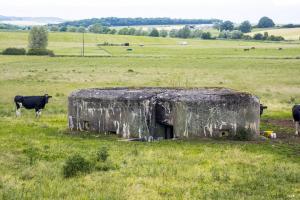 Ligne Maginot - M121B - BREITMATT OUEST - (Blockhaus pour arme infanterie) - 