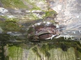 Ligne Maginot - DB26 - (Blockhaus pour canon) - L'orifice du périscope