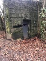 Ligne Maginot - DALHUNDEN OUEST - (Abri) - L’abri aménagé en refuge pour chauves-souris