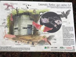 Ligne Maginot - DALHUNDEN OUEST - (Abri) - L’abri aménagé en refuge pour chauves-souris