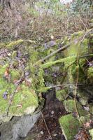 Ligne Maginot - 6/1 - CHALAMPE BERGE SUD - (Casemate d'infanterie - Double) - Couloir de l'abri