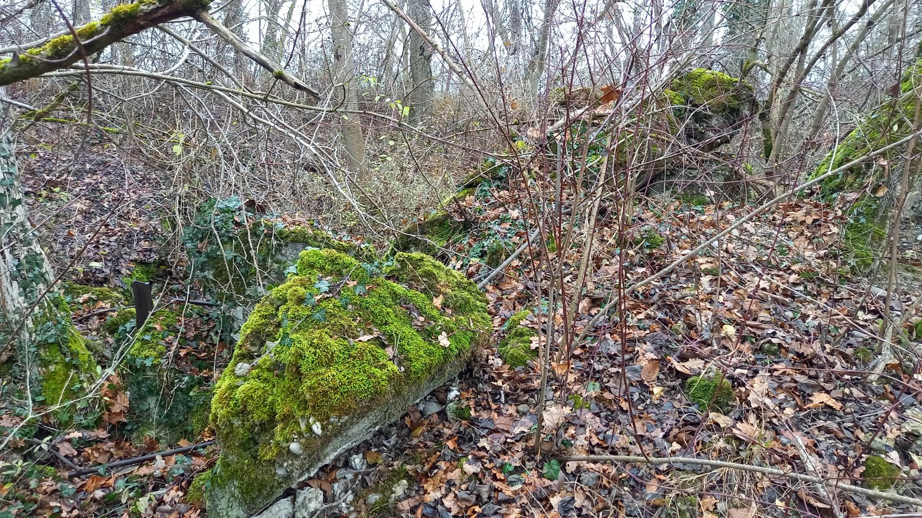 Ligne Maginot - NAMBSHEIM EST 3 - (Blockhaus de type indéterminé) - 
